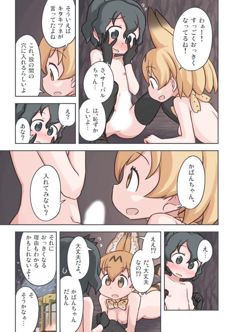 [Wiper Okiba (Quick Wiper)] Takibi (Kemono Friends) [Digital] page 30 full