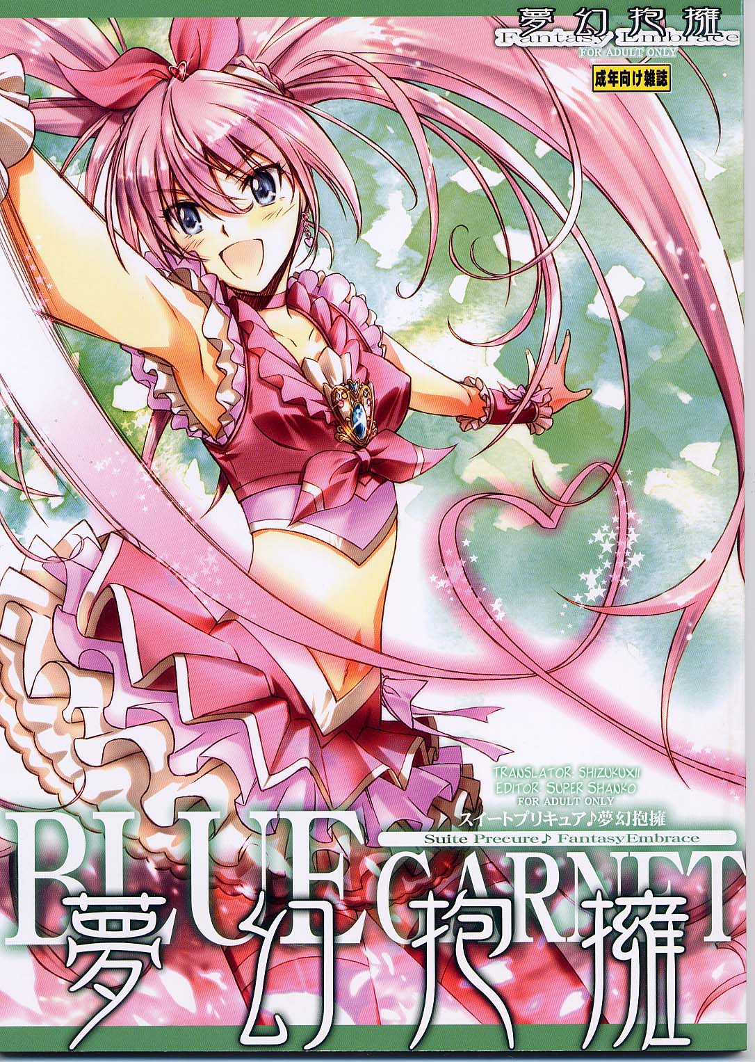 (C80) [BLUE GARNET (Serizawa Katsumi)] Mugen Houyou | Fantasy Embrace (Suite Precure♪) [English] =Shizuku + Super Shanko= page 1 full