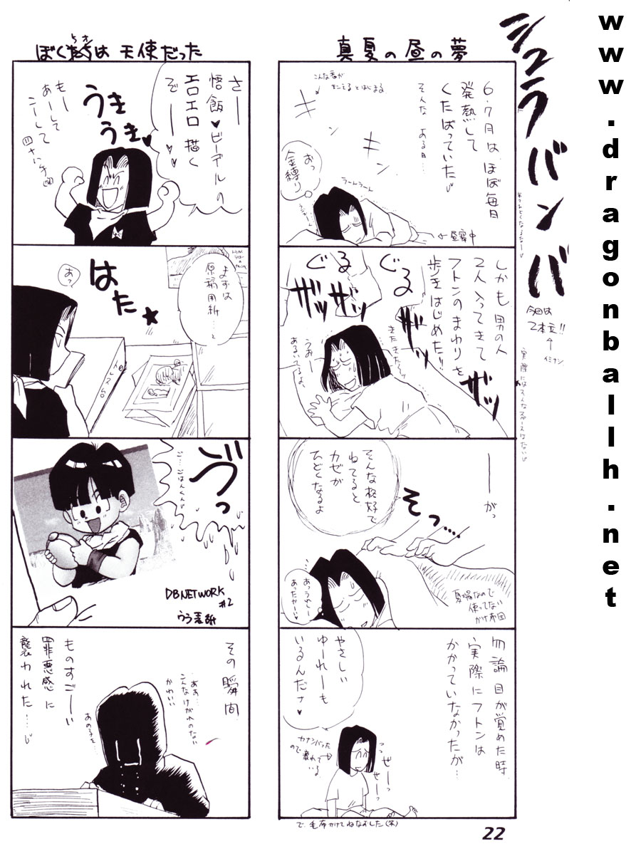 (C52) [Fusuma Goten (Shouji Hariko)] Irohani (Dragonball Z) page 22 full