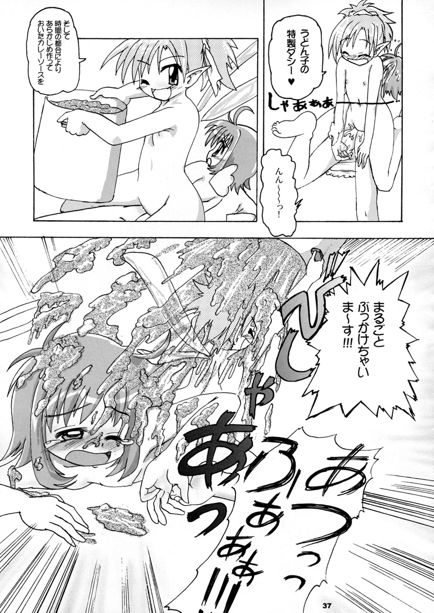 (C65)) [A.W.P.] Comic Materia Extra Nyannyan (Ukagaka) page 37 full
