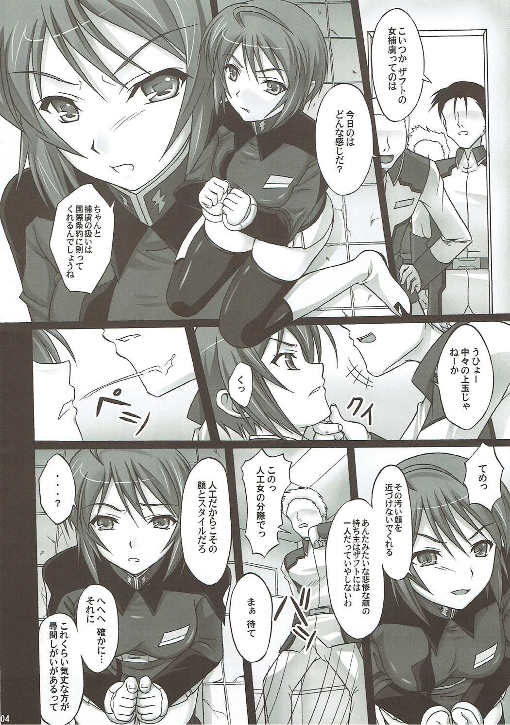 [Ishikari Shake Nabe Doukoukai (Takahiro Ringu)] Natural Cook -Tennensei Shibori- (GUNDAM SEED DESTINY) page 3 full