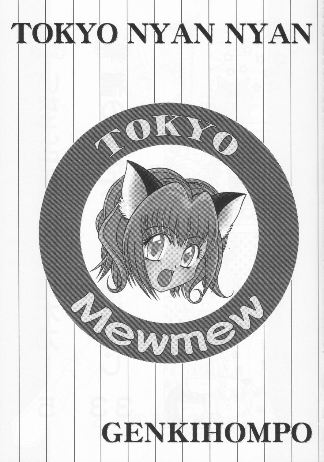 [Genki Honpo (Daifuku Keiji, Saranoki Chikara)] Tokyo Nekomusume (Tokyo Mew Mew) page 2 full