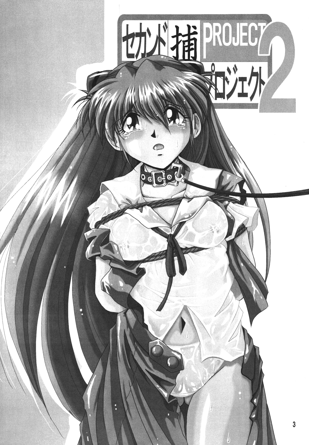 [Thirty Saver Street 2D Shooting (Maki Hideto, Sawara Kazumitsu)] Second Hobaku Project 2 (Neon Genesis Evangelion) [Digital] page 2 full