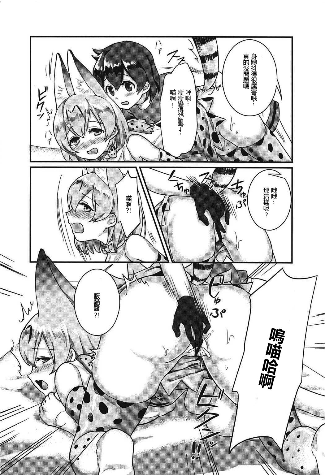 (C92) [Tendoushi (Fukuroumori)] Daisuki ni Kimatteru!! (Kemono Friends) [Chinese] [沒有漢化] page 14 full