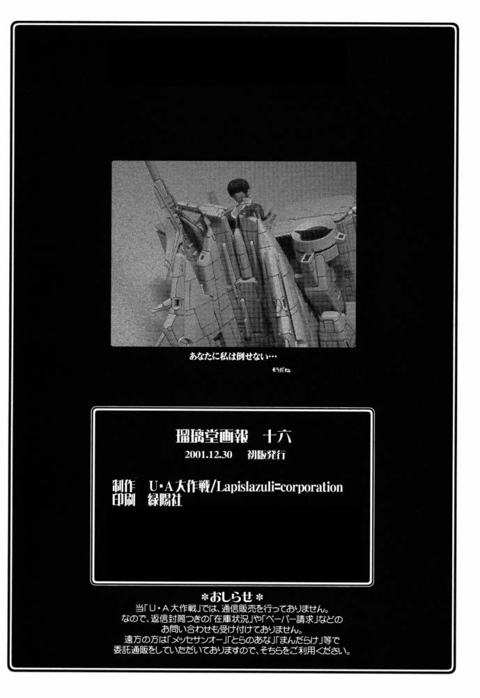 (C61) [U-A Daisakusen, Lapislazuli=corporation (Harada Shoutarou)] Ruridou Gahou CODE:16 (Dead or Alive) page 33 full