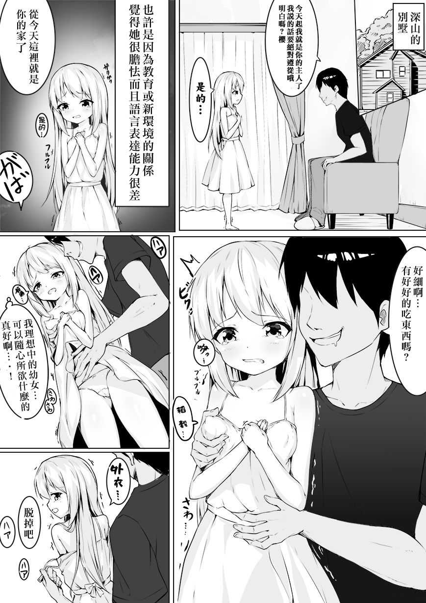 [Straight Lemon Kajuu 100 (Stlemo)] okasu tame ni chiisana shoujo o rakusatsu shite mita [Chinese] [零食汉化组] page 4 full