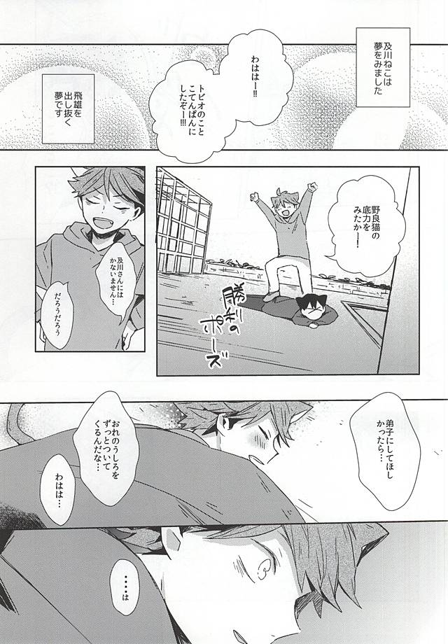 (RTS!!5) [Shounen-H (Yuuki)] Neko ni Natta Oikawa-san (Haikyuu!!) page 14 full