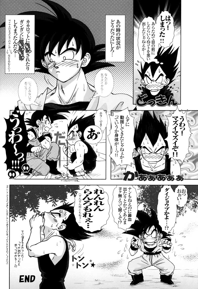 [GREFREE (ema)] Sairokua (Blaze, Voice, +A) (DRAGON BALL Z) page 24 full