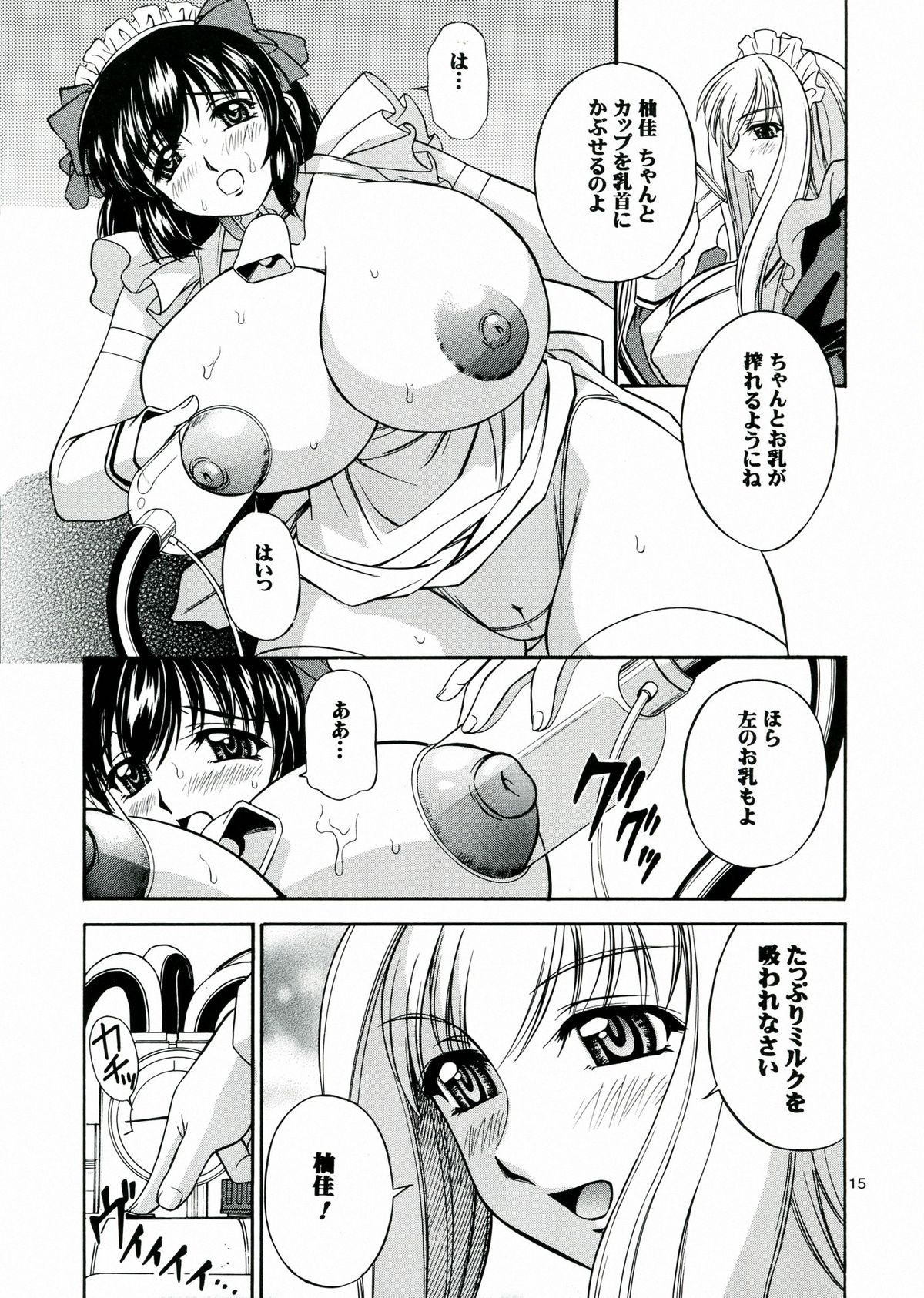 (C70) [Narimasuya (Akiba Wataru)] DOLLS DIARY 6 page 15 full