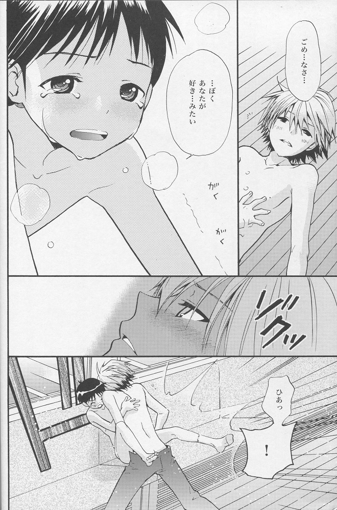 (C77) [RAYTREC (Fuyunagi Reku)] +PLUS (Neon Genesis Evangelion) page 23 full