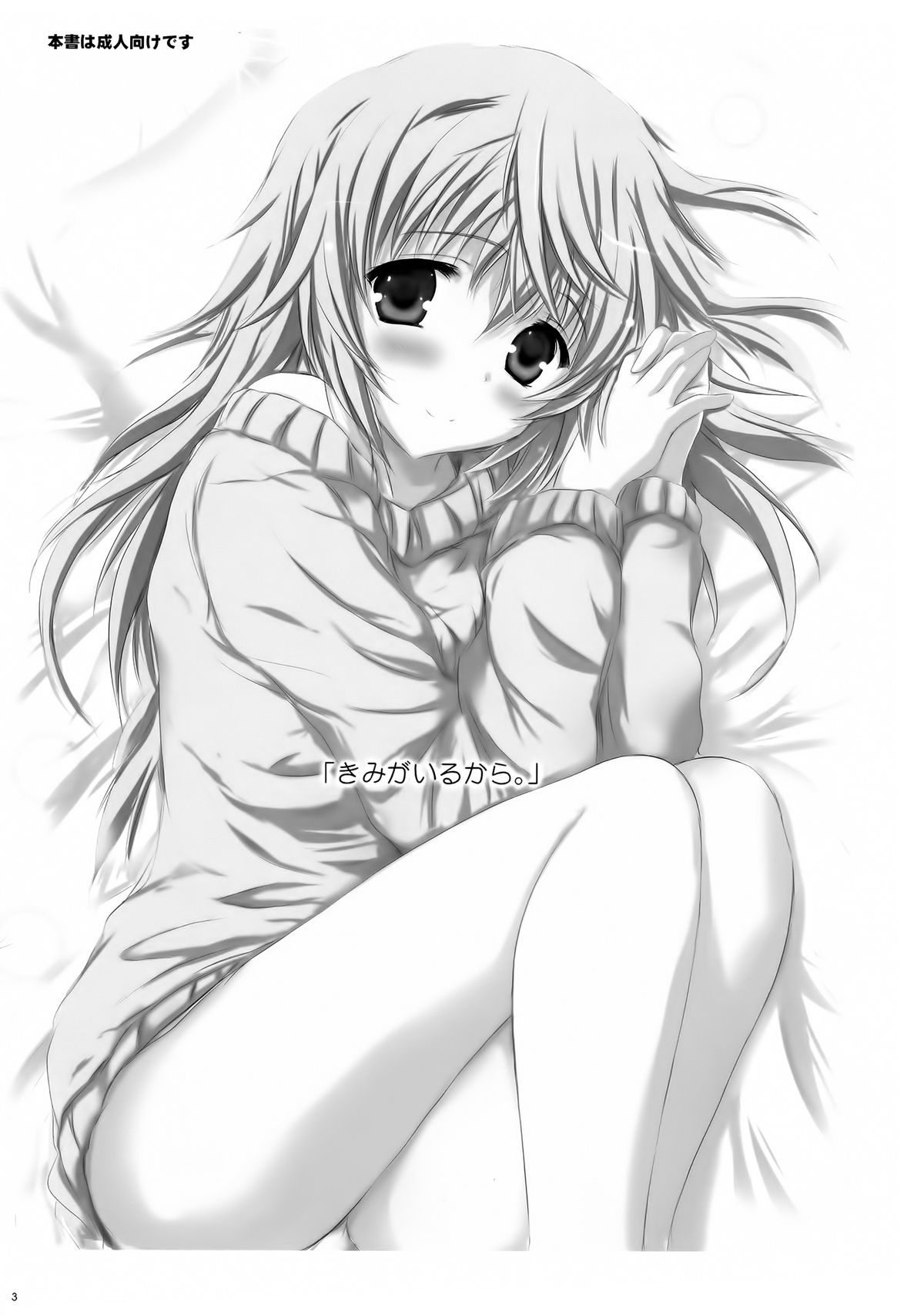 (C86) [SONIC WINTER (Tsukishima Kai)] Kimi ga Iru kara (Infinite Stratos) [English] [Rapid Switch] page 3 full