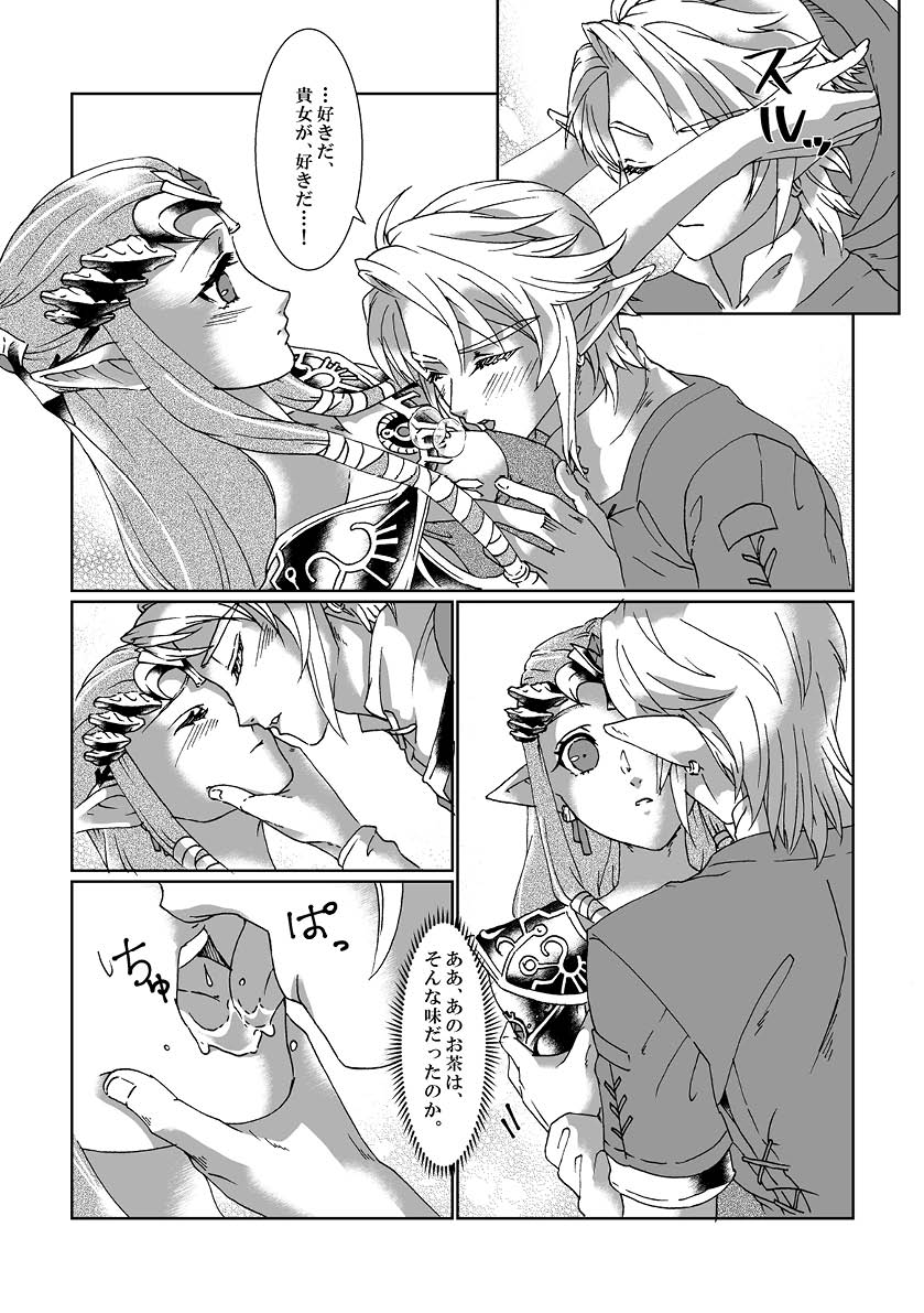 [MYLAB (Shiroa Urang)] Schedar (The Legend of Zelda) [Digital] page 10 full