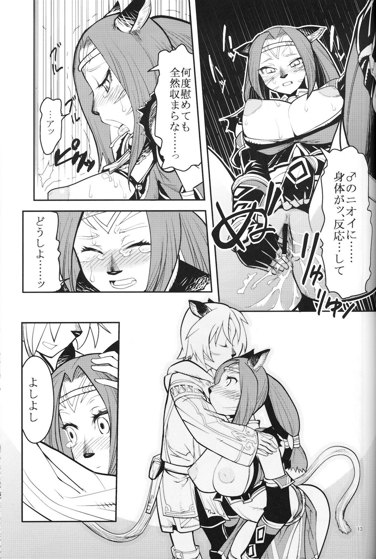 (C75) [Kuroshiki (Kurohiko)] Kuroshiki Vol. 7 (Final Fantasy XI) page 12 full