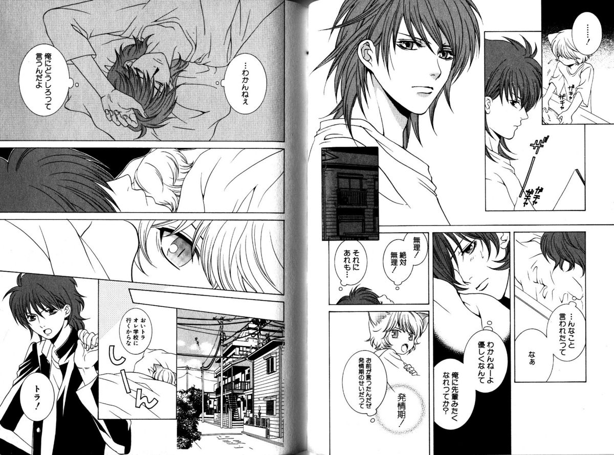 Akana Meiko - Nekokan page 34 full