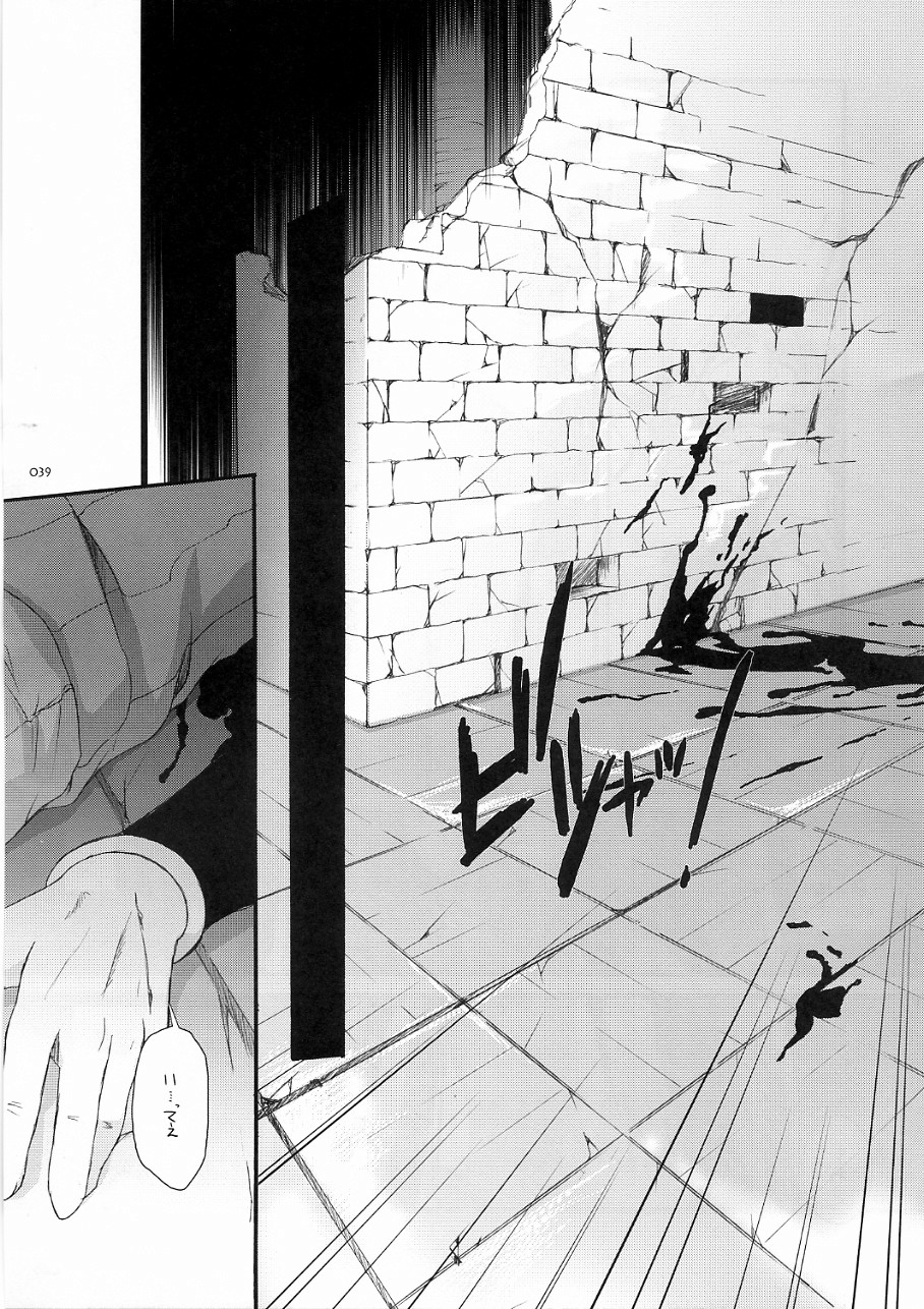[Digital Lover] DL-RO Soushuuhen 3 (Ragnarok Online) page 38 full