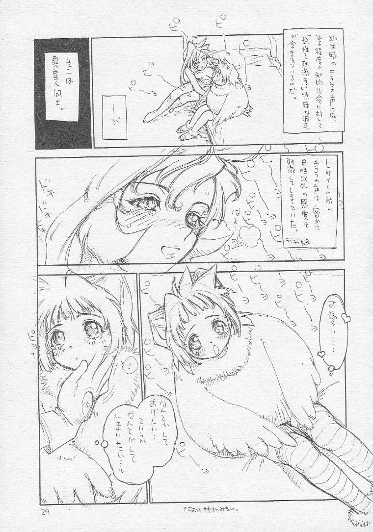 (C51) [Tororoimo (Various)] Tororoimo Soushuuhen Rare Ban (Various) page 28 full