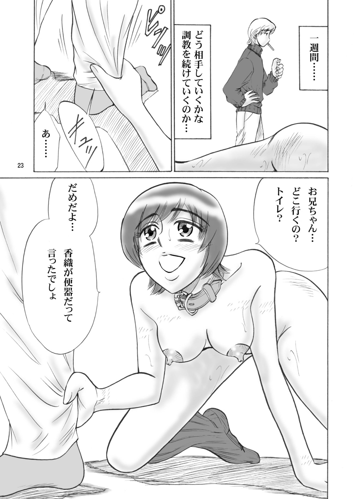 [Mousou Kai no Juunin wa Ikiteiru. (Kan Danchi)] Kyoudai SM Monogatari 7days fuzz ~Nanokakan Choukyouroku~ Zenpen [Digital] page 23 full