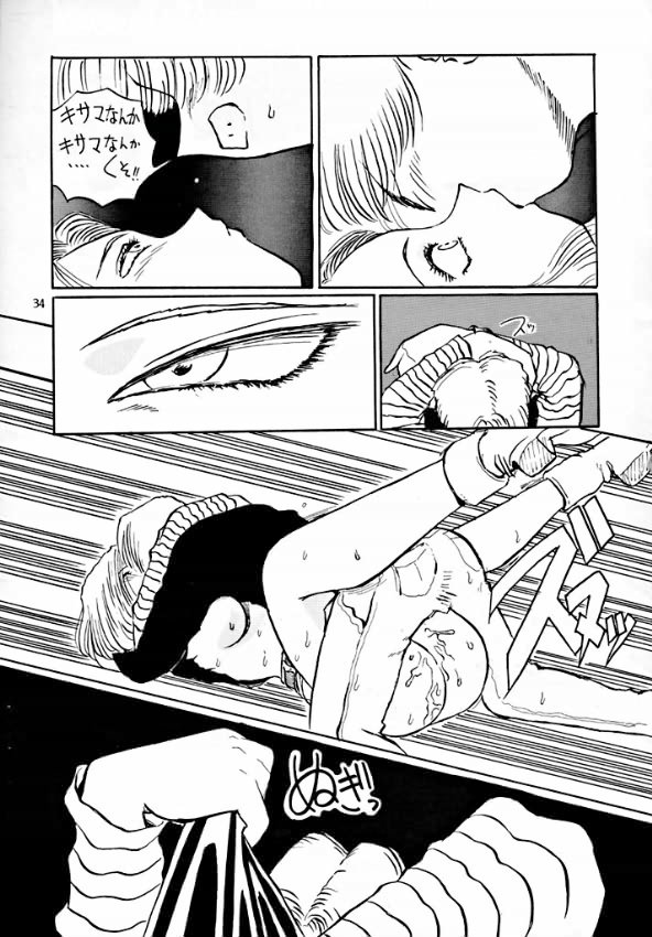 [Oiwaidou] PREY OF BIRD (Dragon Ball) page 36 full