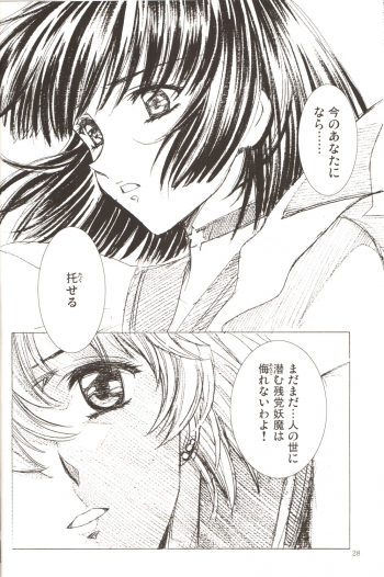 (C69) [Hen Rei Kai (Kawarajima Koh)] AmiHota!! Side:D (Sailor Moon) - page 27
