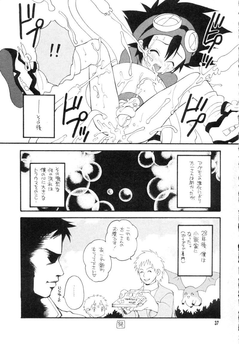 (CCTokyo96) [Haniwa Mania, Kuruguru DNA (Pon Takahanada, Hoshiai Hiro)] Bokura No Jogress World (Digimon Adventure 02) page 37 full