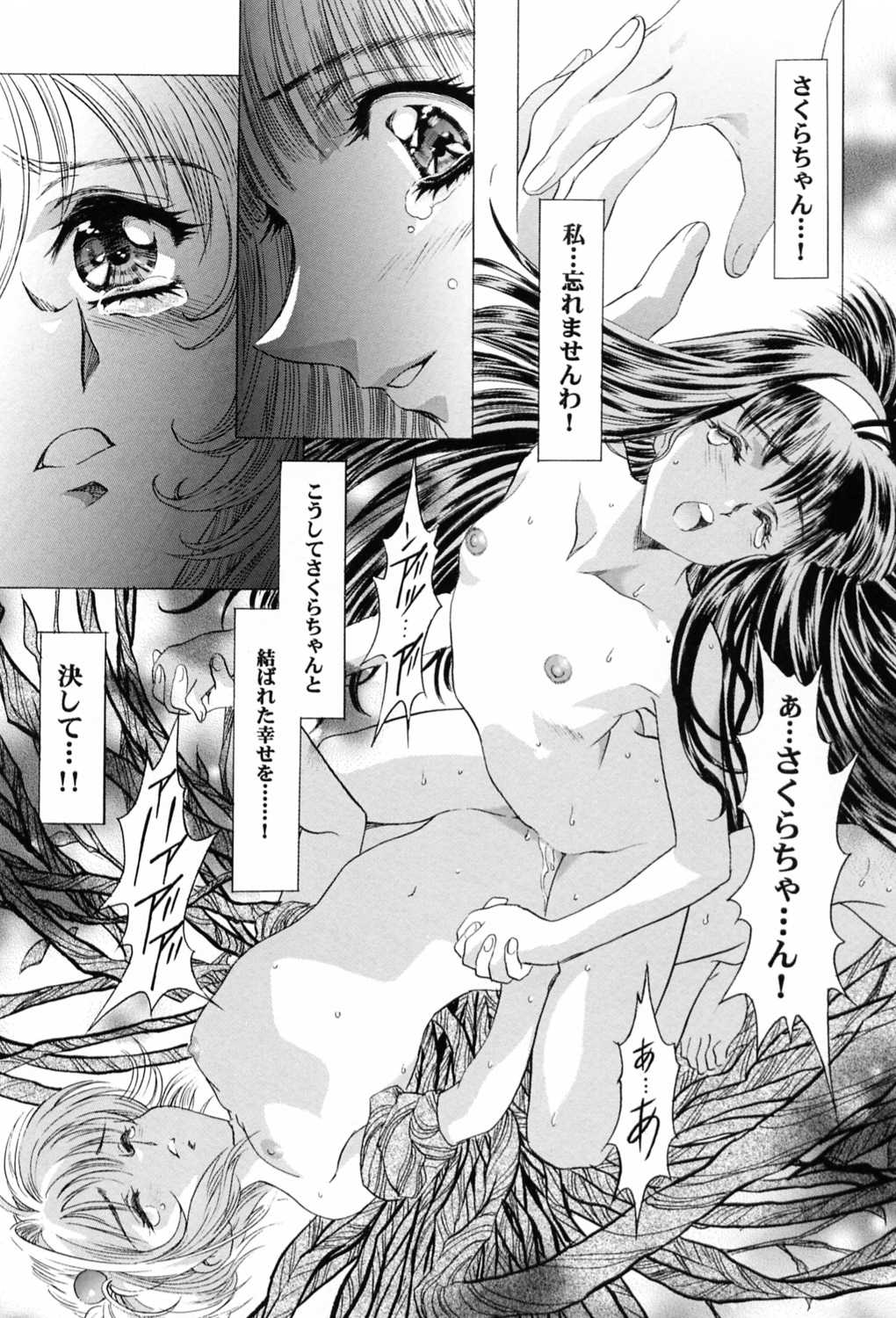 (C58) [Henreikai (Kawarajima Koh)] Sakura Ame ~Final~ Gekan (Card Captor Sakura) page 14 full