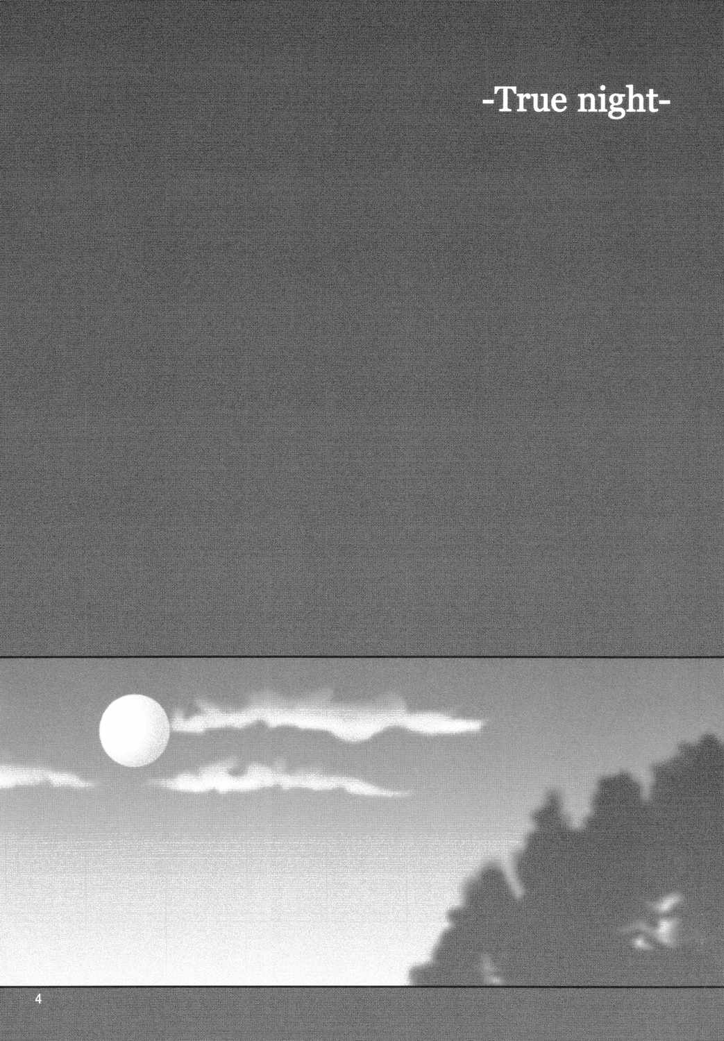 (Mimiket 10) [HAPPY WATER (Kizaki Yuuri)] -True night- (Fate/stay night) page 3 full