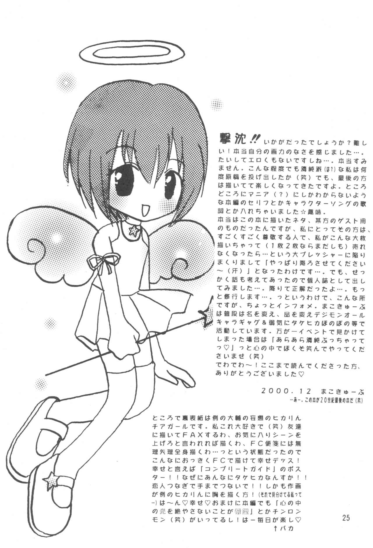 (C59) [Cheese-iri Kamaboko-dou (Mako Cube)] Hikari Mania (Digimon Adventure 02) page 27 full
