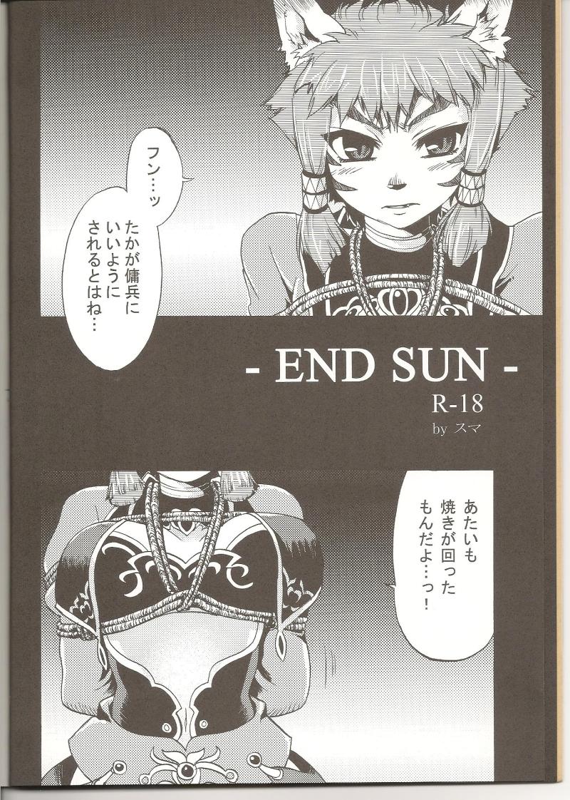 (C75) [PINK VENUS (Suma Miru)] END SUN (Final Fantasy XI) page 5 full