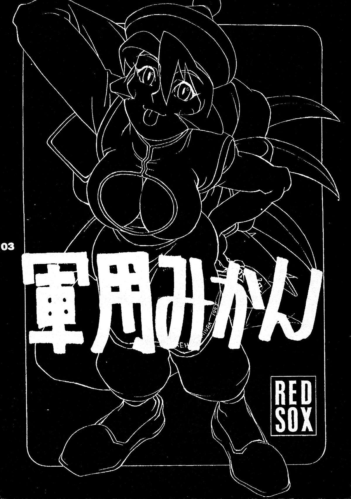 (1995 Nen Haru Revo) [REDSOX (Miura Takehiro)] REDSOX VOL.5 Gunyou Mikan (Darkstalkers) [2nd Edition] page 3 full