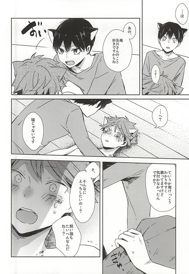 (RTS!!5) [Shounen-H (Yuuki)] Neko ni Natta Oikawa-san (Haikyuu!!) page 23 full