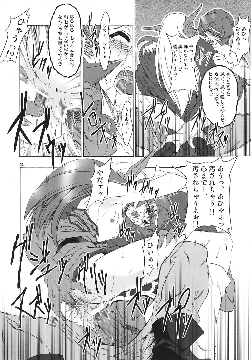 (C70) [FAKESTAR (Miharu)] N (Record of Lodoss War) page 13 full