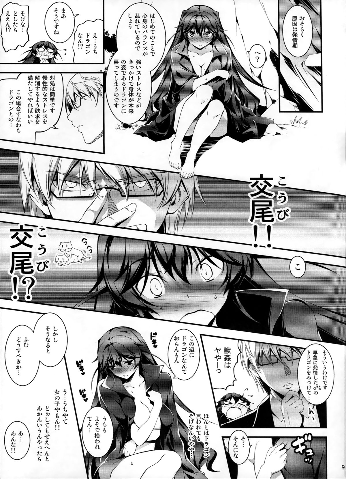 (C87) [Kikurage-ya (Kikurage)] Kuro no Riiman to Ryuu Musume Indora page 10 full