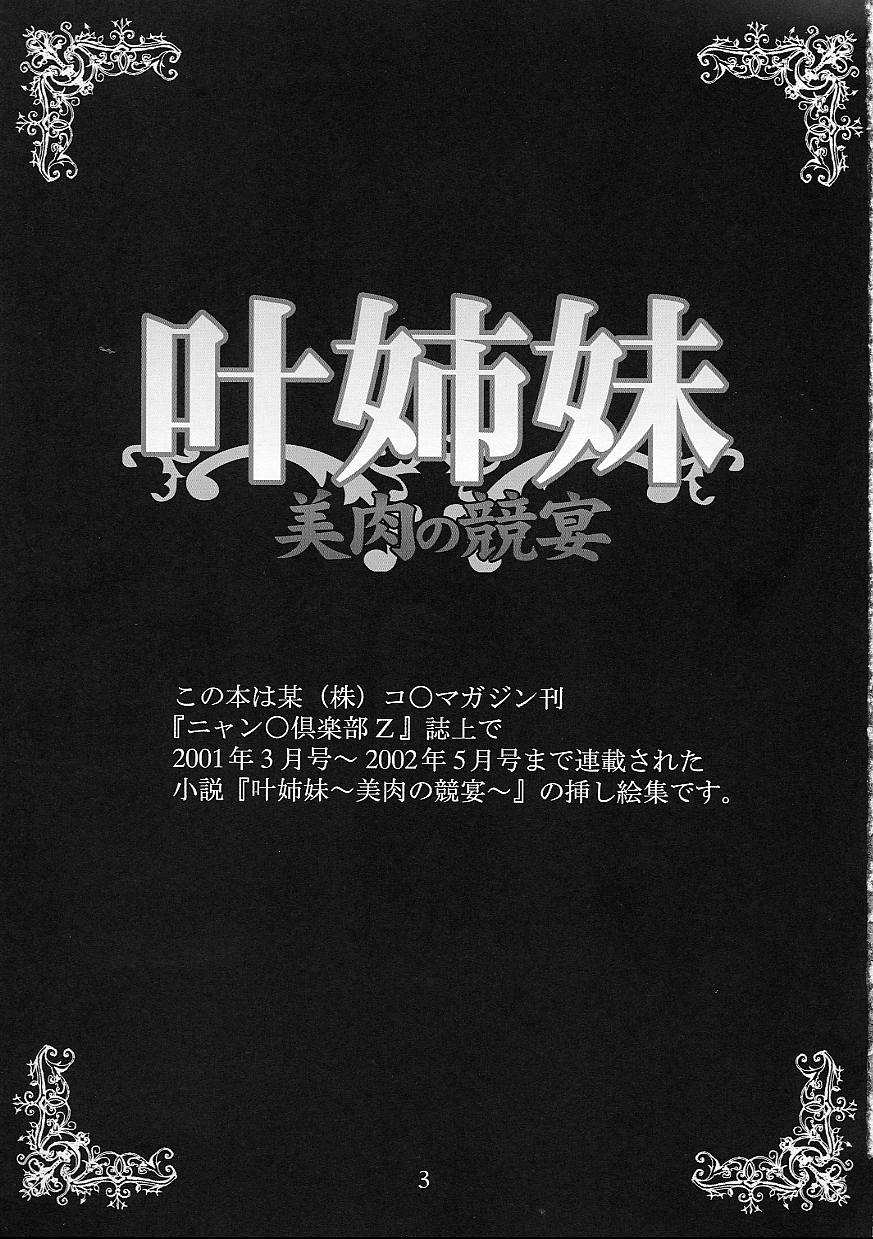 (C62) [Evil aratame Baroque Store (Miyabi Tsuzuru)] Kanou Shimai - Biniku no Kyouen page 3 full
