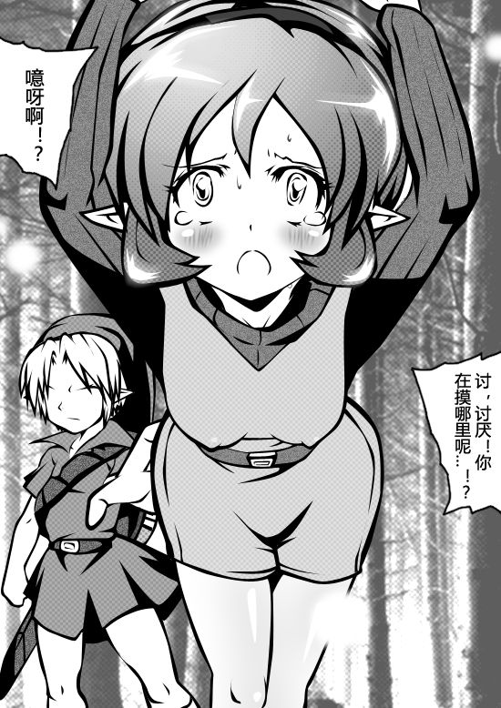 [Hein] Zelda Kenja Shinpan (The Legend of Zelda) [Chinese] page 10 full