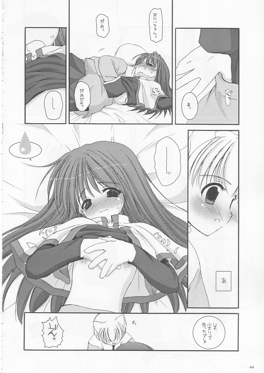 (CR33) [Digital Lover (Nakajima Yuka)] D.L. action 17 (Ragnarok Online) page 46 full