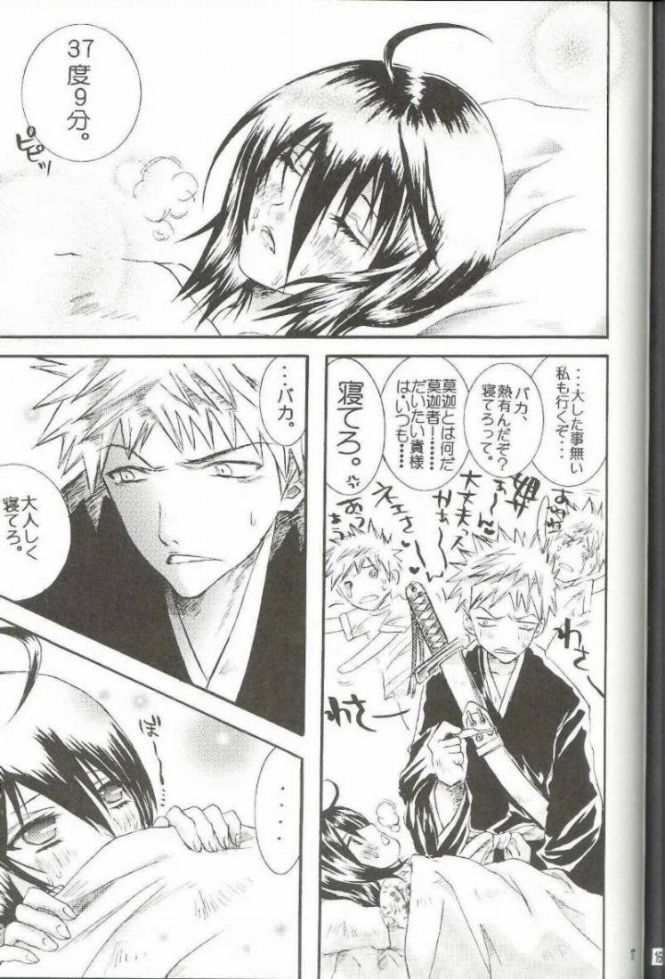 (C66) [PONCHEES (Kari) (Irohane Sui)] PIKA☆☆NCHI (Bleach) page 16 full