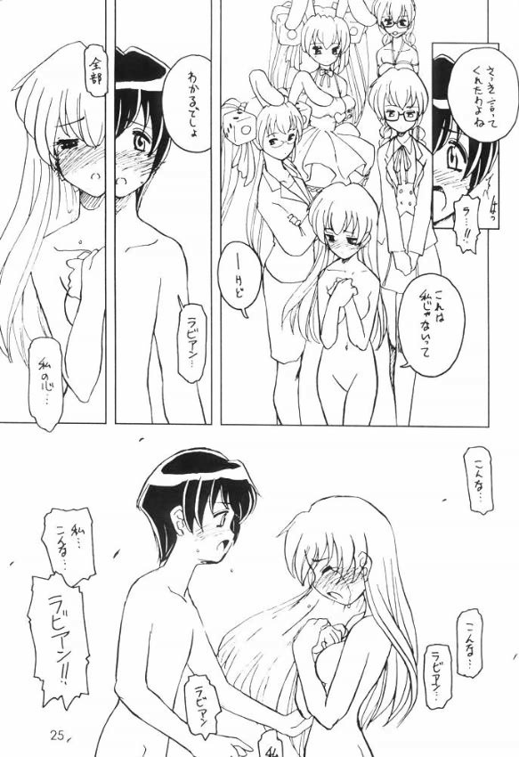 Usa De Megane 2 page 24 full