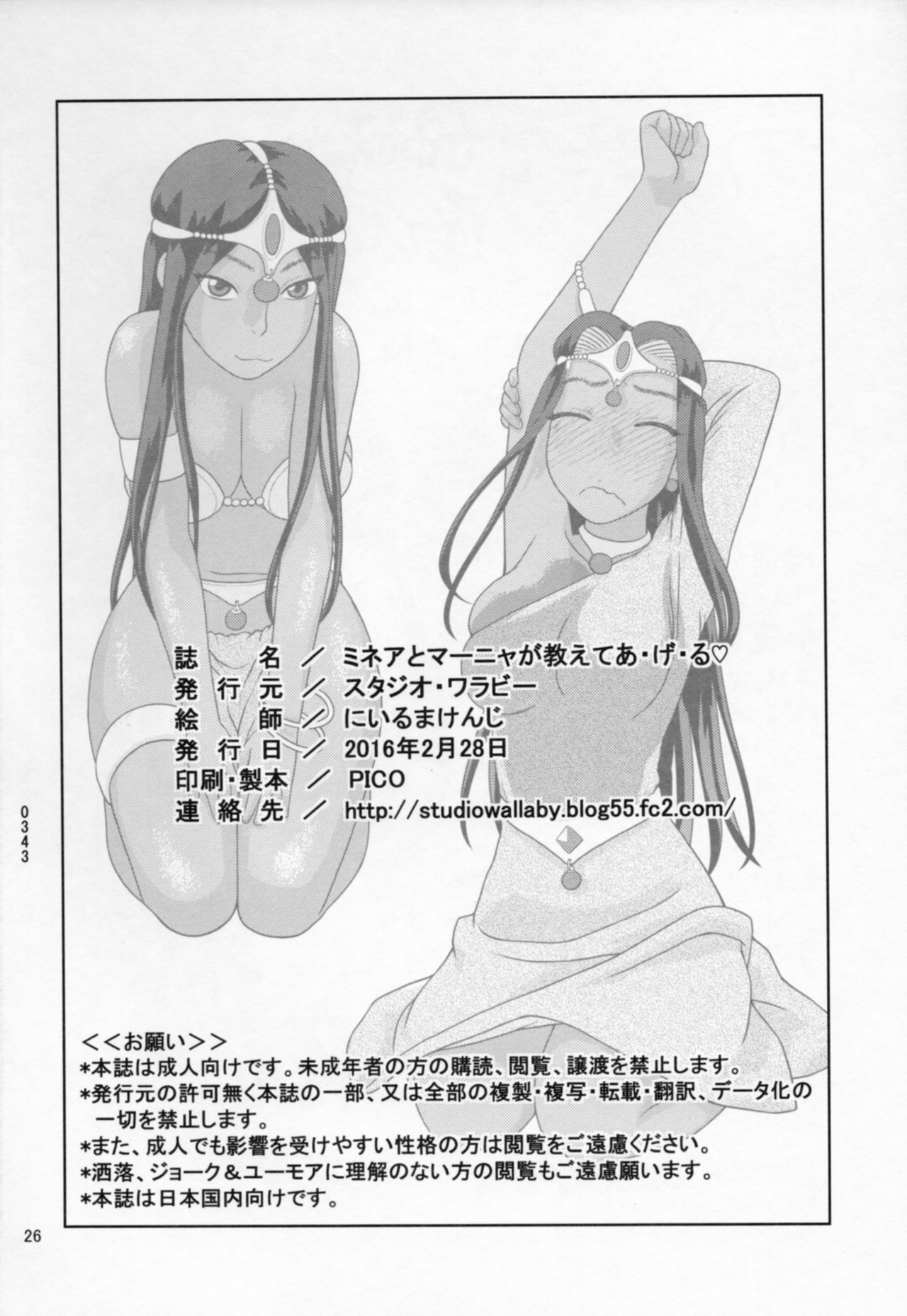 (SC2016 Winter) [Studio Wallaby (Niiruma Kenji)] Minea to Manya ga Oshiete Ageru (Dragon Quest IV) page 25 full