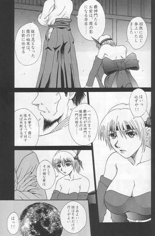 (C58) [BREEZE (Haioku)] R25 Vol.2 DoA2 SECOND (Dead or Alive) page 4 full