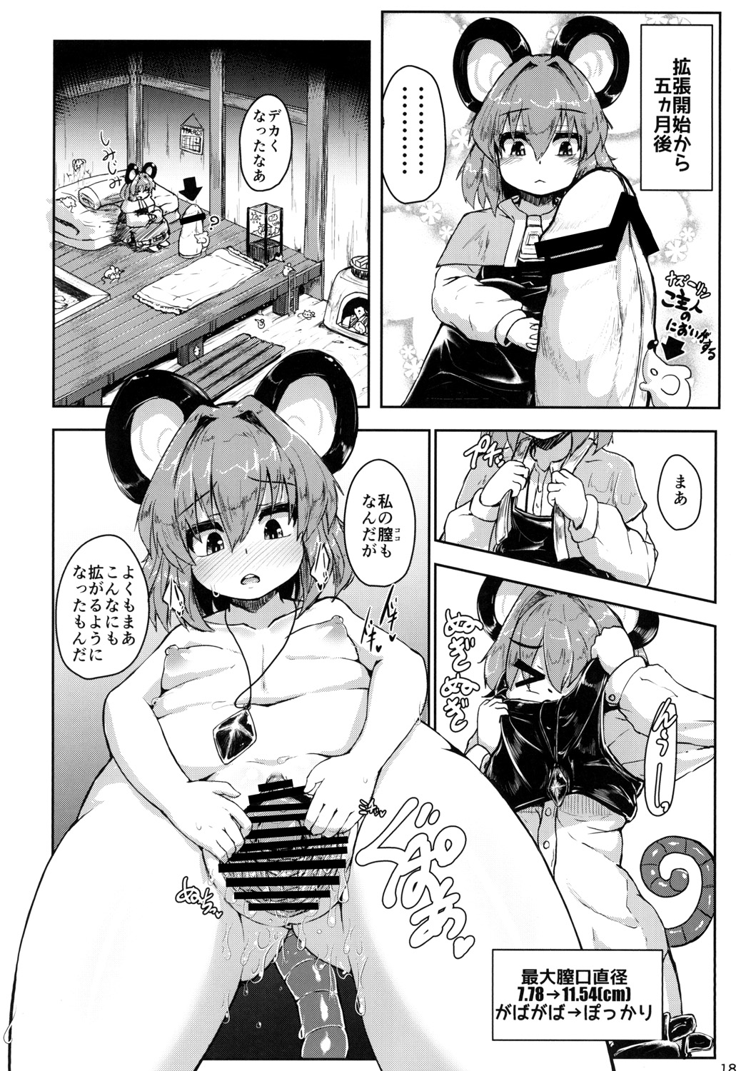 [Cheese Company (Peso)] Nazrin ga Goshujin no Tame ni Himitsu no Tokkun o Suru Hanashi (Touhou Project) [Digital] page 17 full