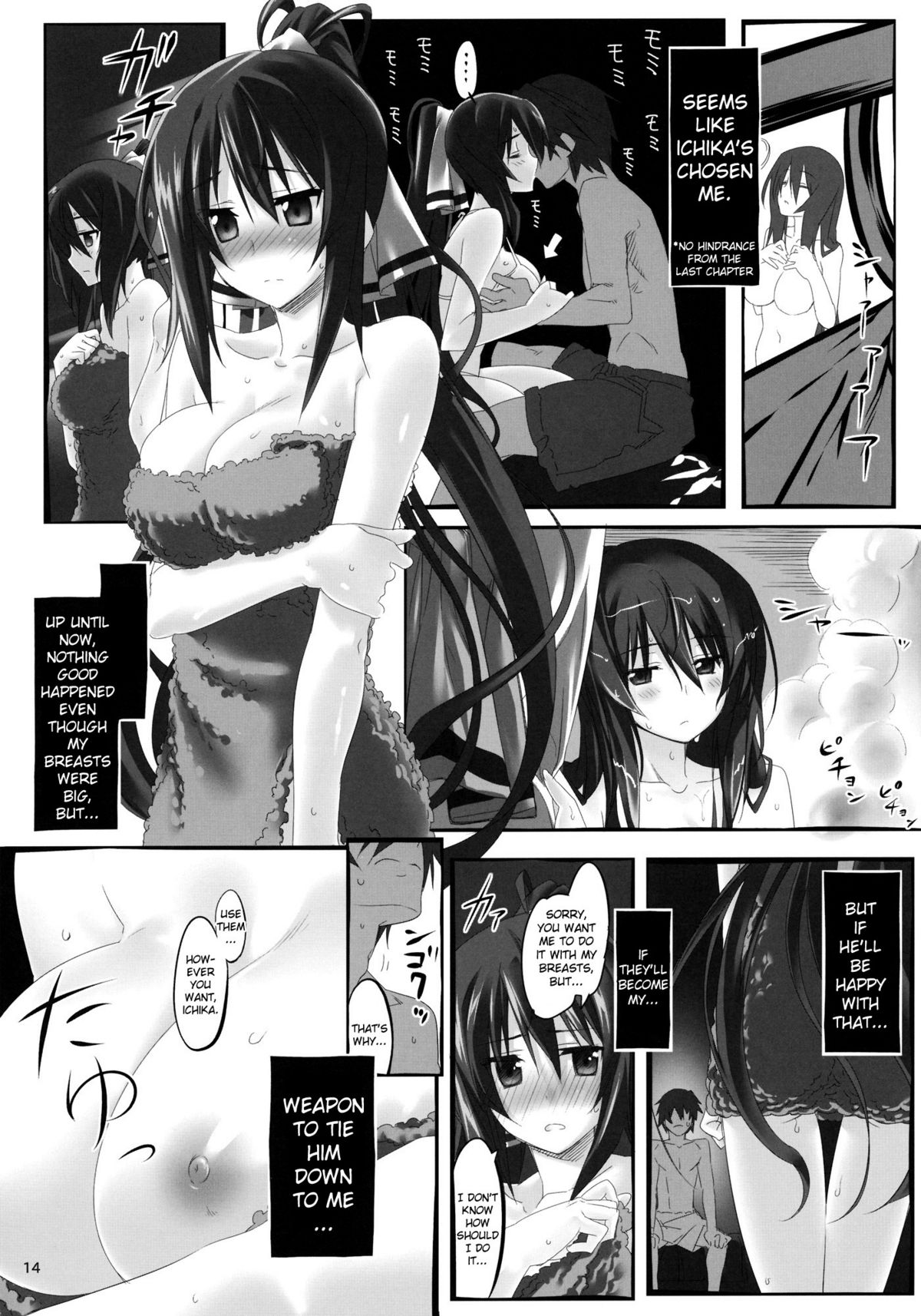 (C80) [Himura Nyuugyou (Himura Kiseki)] Yuuzai Shouko Bukken Sangou | The Evidence of the Guilt - Mark Three (IS <Infinite Stratos>)  [English] {doujin-moe.us} page 13 full