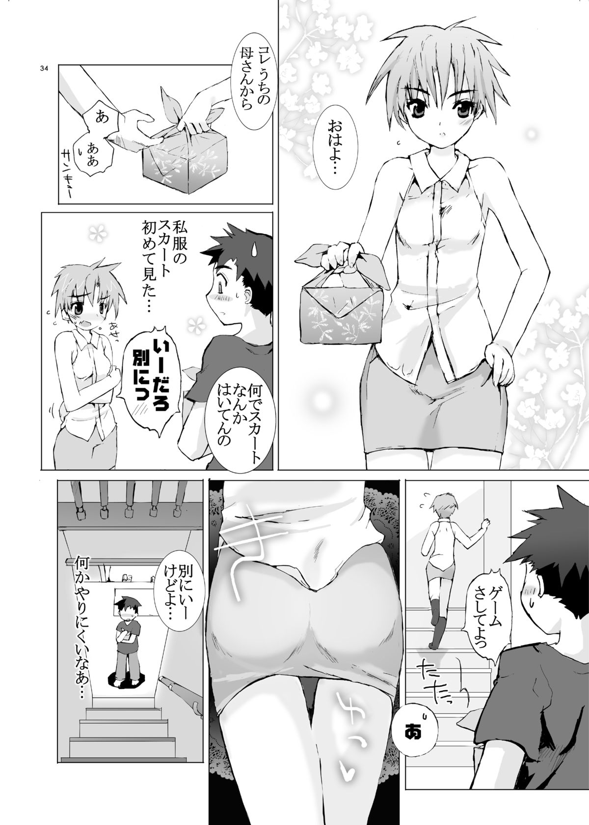 [Gensou Kuukan (Mizuhara Mei)] Junsui Juudai [Digital] page 33 full