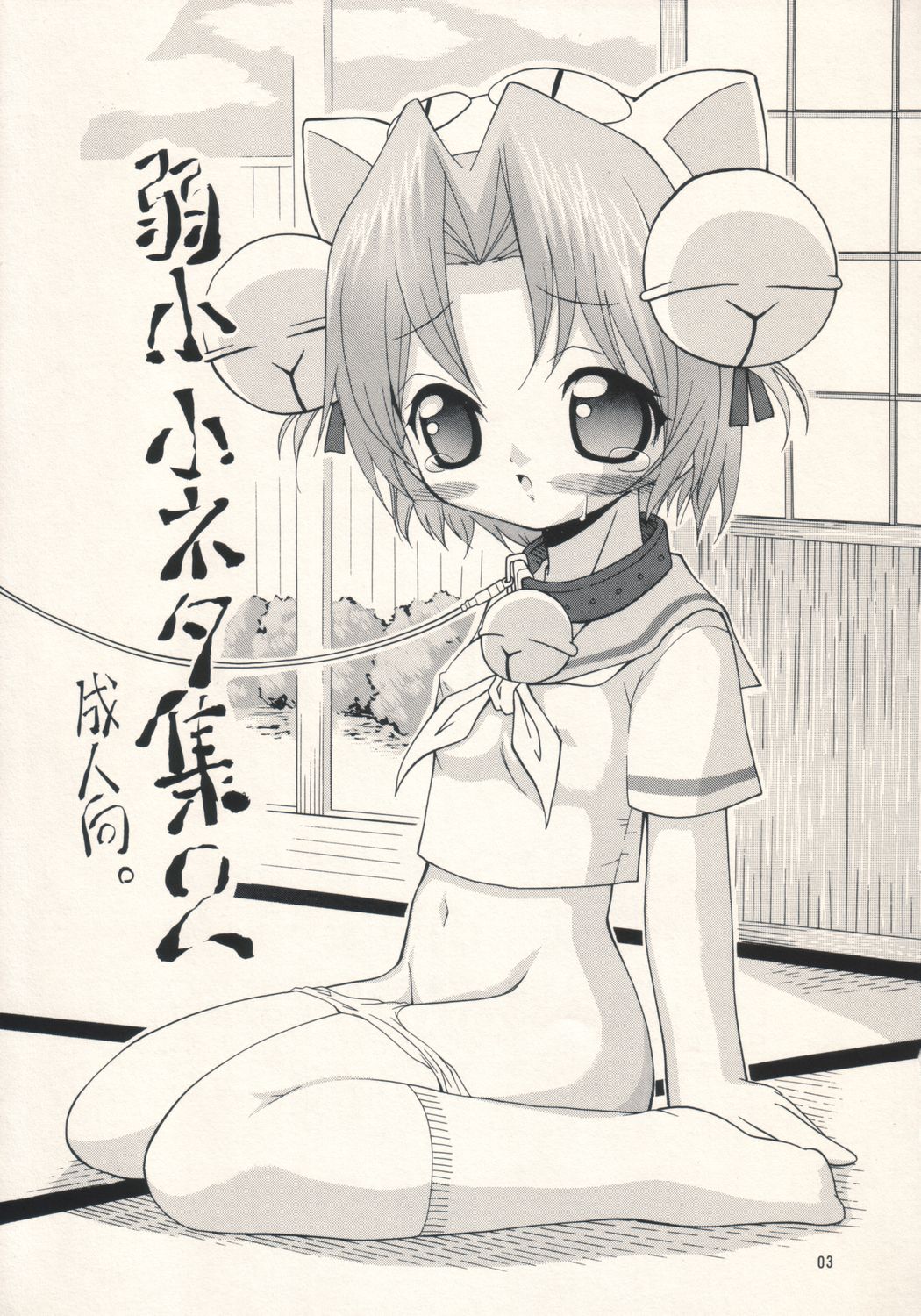 (ComiComi5) [FESTA (Yoshitani Motoka)] Jakushou Shouneta Shuu 2 (Digi Charat) page 3 full