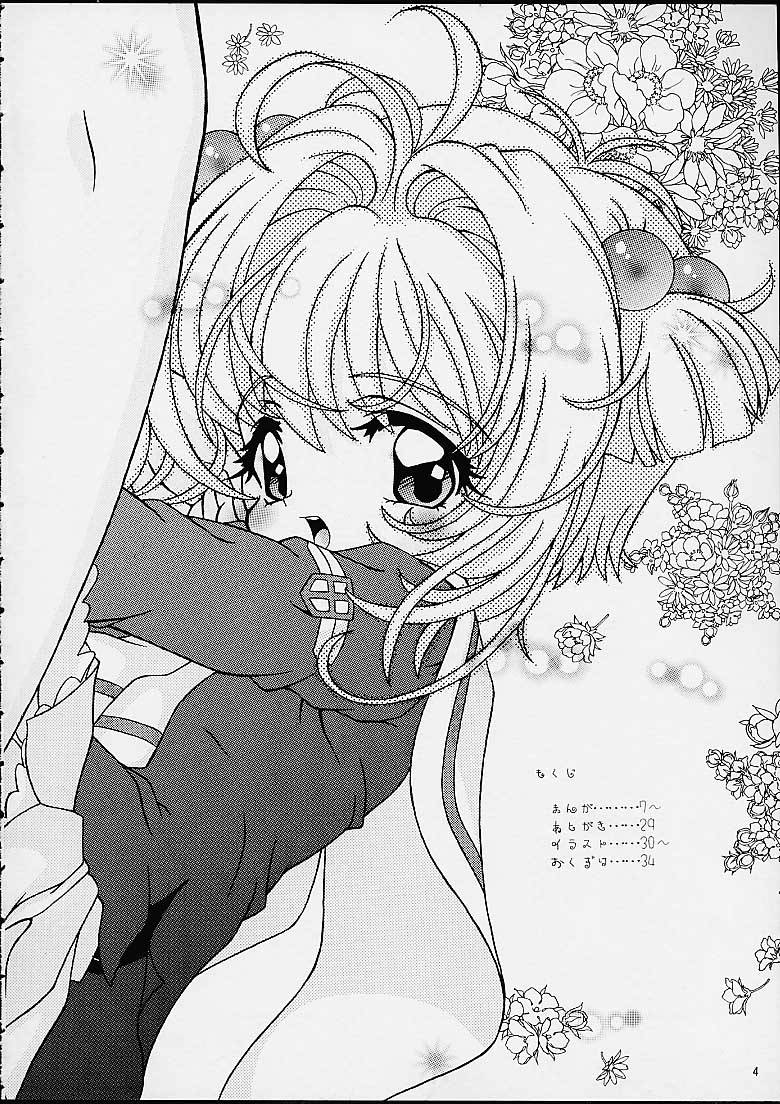 [Log House (Senkan Yamatoni)] Spring is Here (Card Captor Sakura) page 2 full