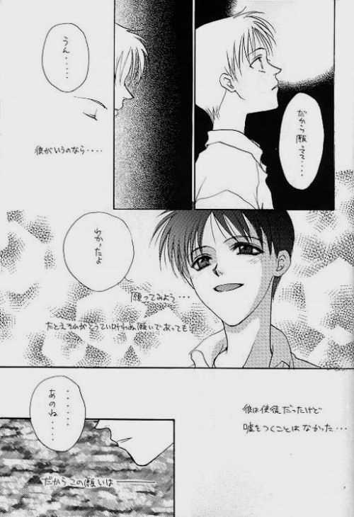 [Zaougumi (Zaou Taishi)] Lost Sheep (Neon Genesis Evangelion) page 23 full