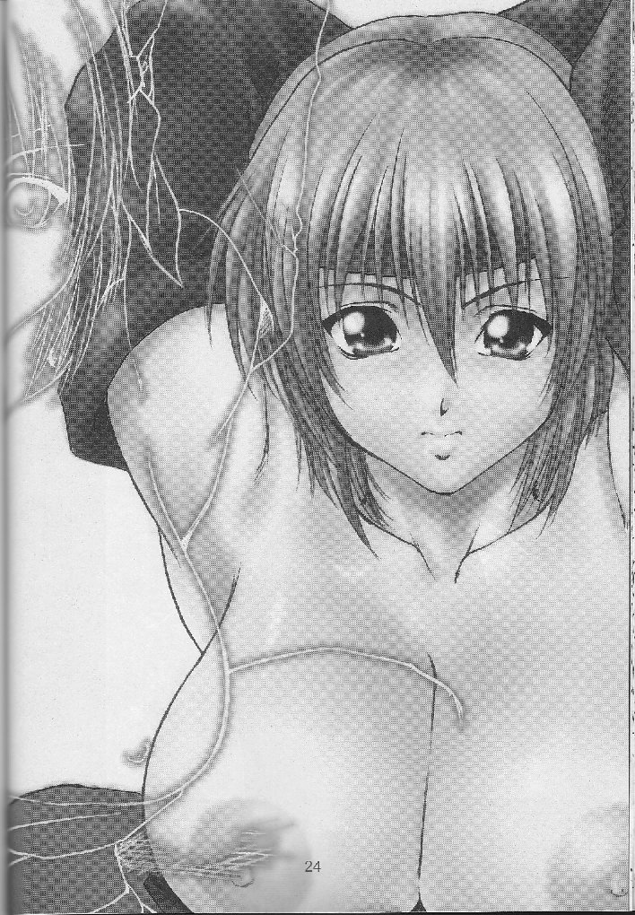 [A-office (Yumi Ichirou)] Kikan Yumi Ichirou Soukangou 2001 Nen Haru Gou (Dead or Alive) page 24 full