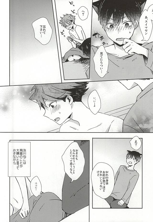 (RTS!!5) [Shounen-H (Yuuki)] Neko ni Natta Oikawa-san (Haikyuu!!) page 19 full