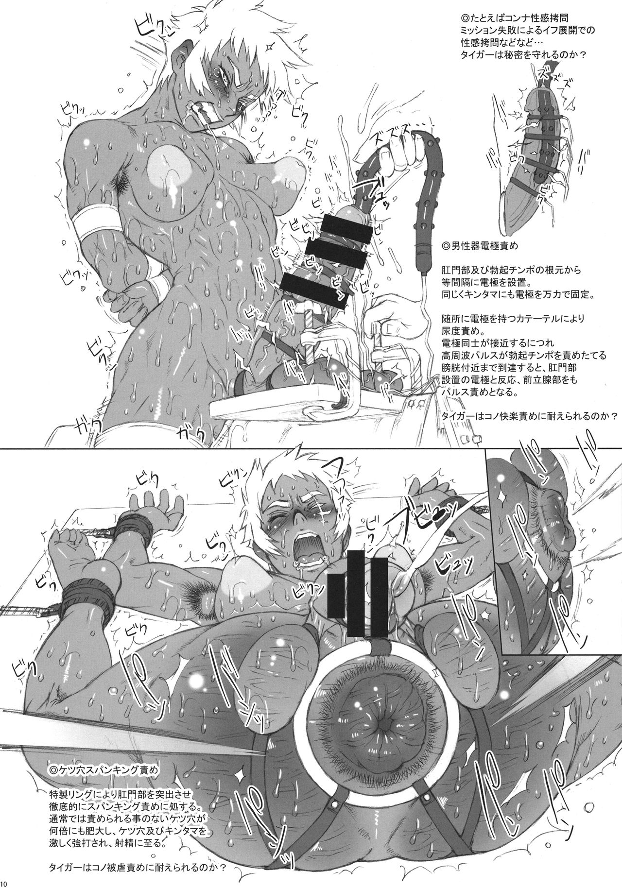 (C90) [Niku Ringo (Kakugari Kyoudai)] NIPPON TIGER & RABBIT page 10 full