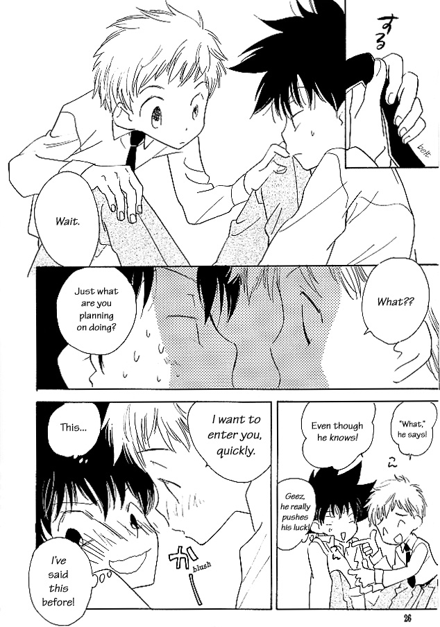 [SUMMER CHILD (Gin Kemeko)] Magic Mirror Kiss (Digimon Adventure) [English] [lelenaa] page 25 full