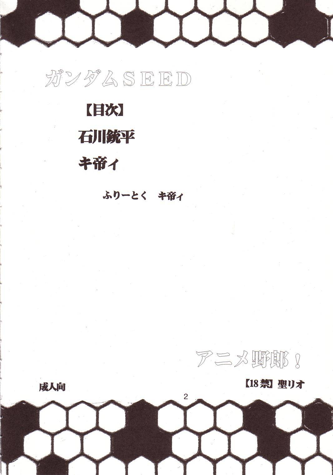 [St. Rio (Kitty, Ishikawa Ippei)] SEED 4 (Mobile Suit Gundam SEED) page 3 full